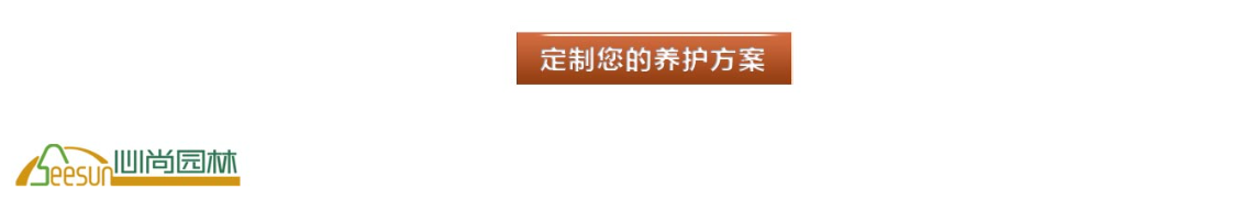 首页| PG电子游戏试玩官方网站